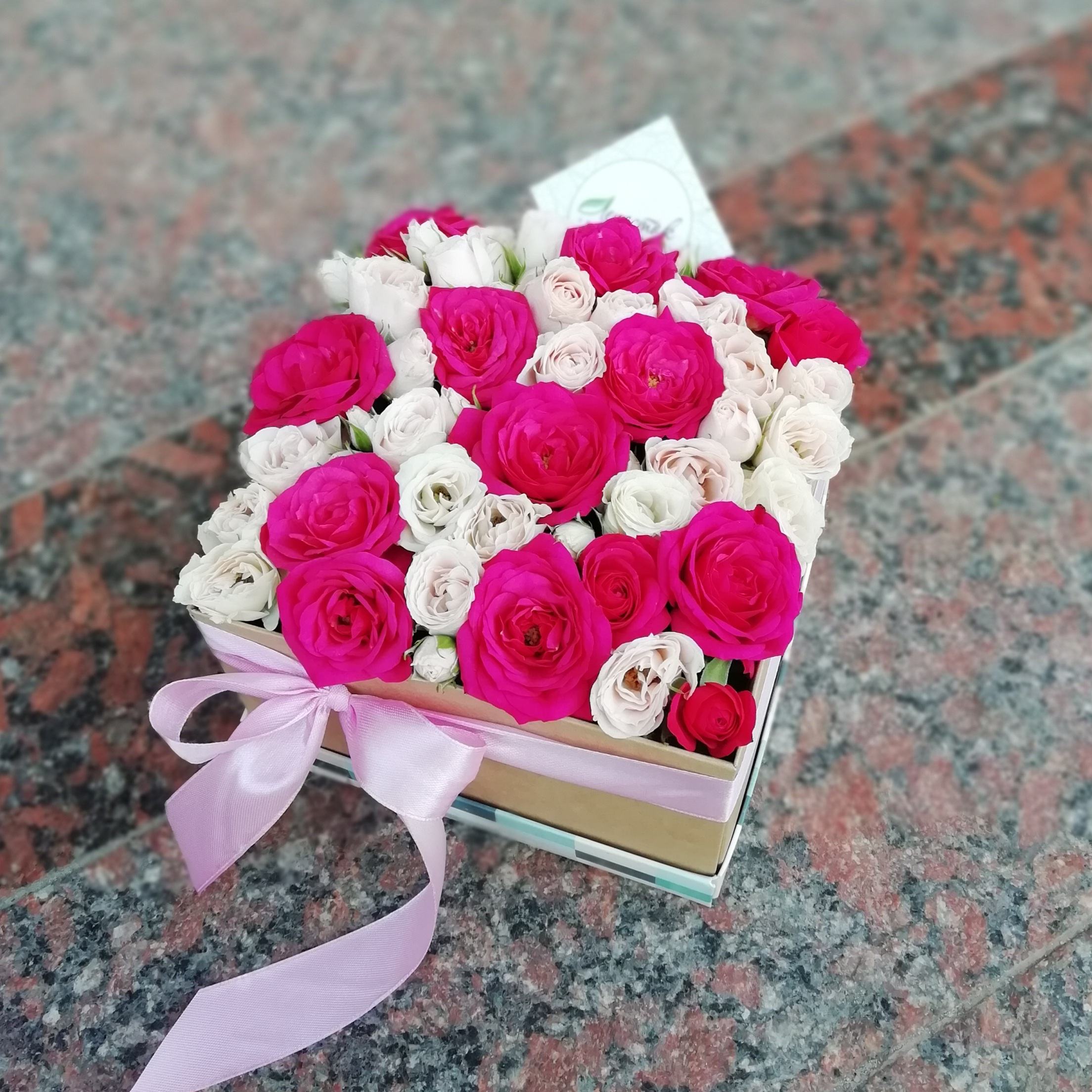 9e900512-722f-457b-ac23-265ca8b5716c